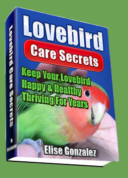 Lovebird Care Secrets - Lovebird Training and More Lovebird Care Secrets