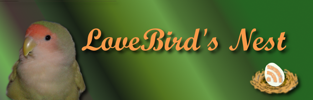 Lovebird's Nest ~ Lovebird Training Lovebird's Nest ~ Lovebird Training